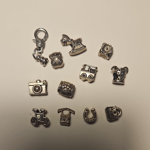 Silver Charm Collection - Picture 1 of 4